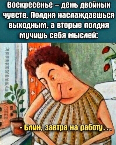 AnnaV_LOOKY