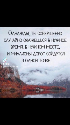 Inna_bres_ в LOOKY. #цитатадня📌,#мояжизнь,#цитатысосмыслом,#цитатадня,#мотивация. #цитатадня📌 #мояжиз...