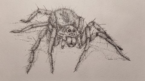 gaiagallery.sid в LOOKY. #паук,#spider,#рисунок,#рисунокточками,#draw,#pendraw,#nft,#nftart,#art,#artist,#арт. Паучок 🕷️
#паук #sp...