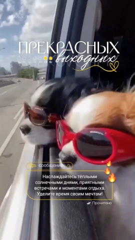 sa_vin_sa в LOOKY. . 