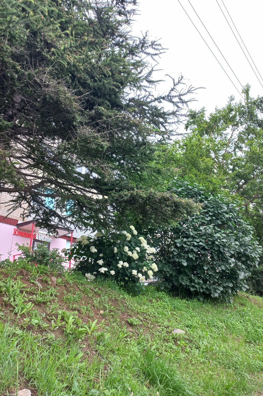 nadya_kokuruna_ в LOOKY — фото 5