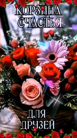 Looky_173278116171457 в LOOKY. . 