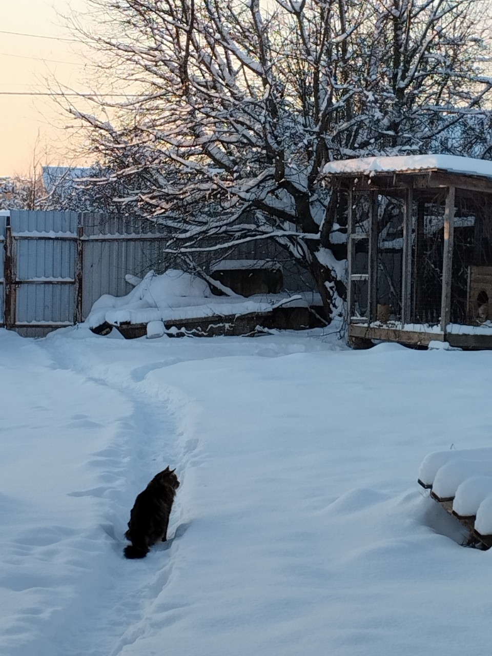 olga.ivanova77 в LOOKY. #январь,#рассвет,#пейзаж_ои. Первый рассвет 2026 ...