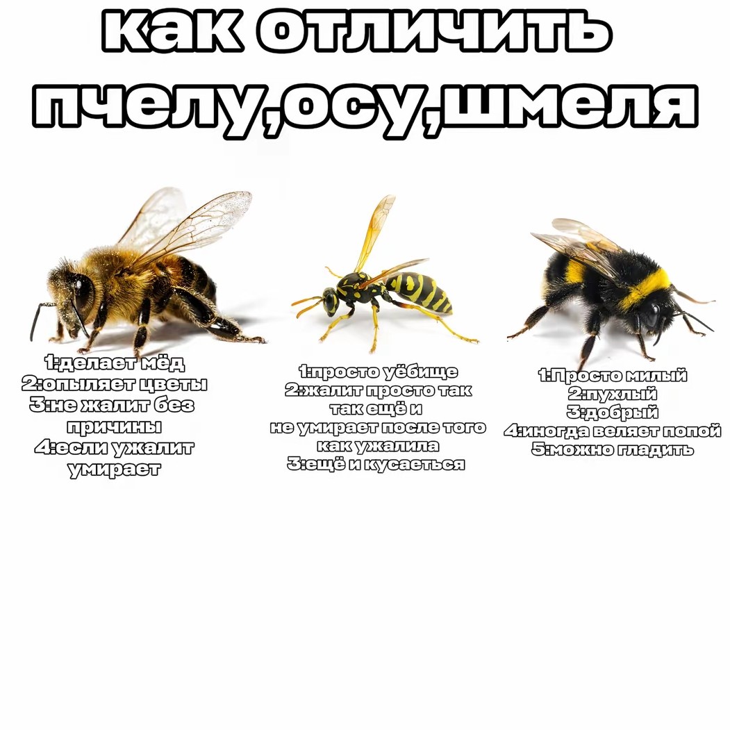 kruzhka в LOOKY — публикация