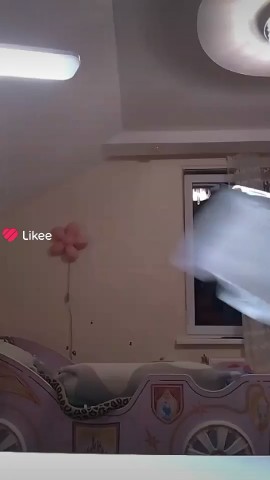 дракон в LOOKY — публикация
