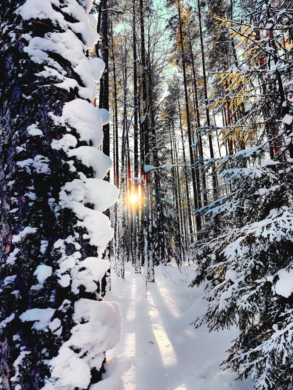 Виктор в LOOKY — фото 2