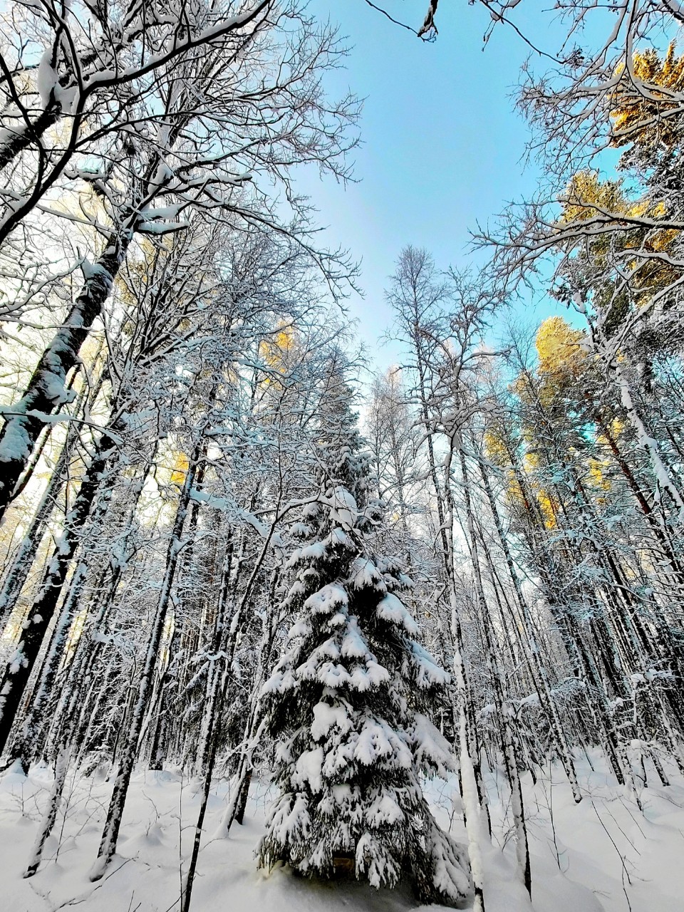 Виктор в LOOKY — фото 4