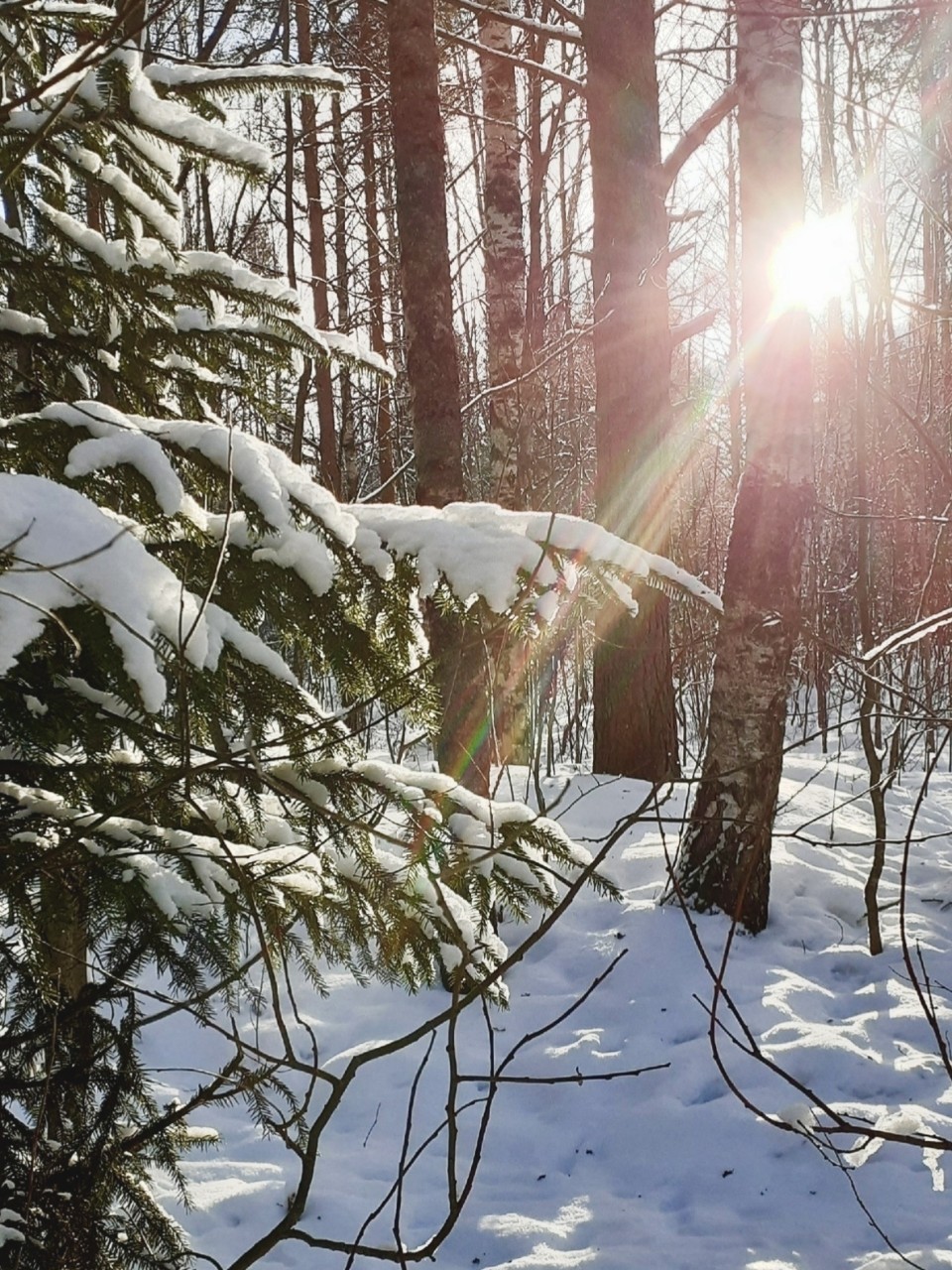 Виктор в LOOKY — фото 1