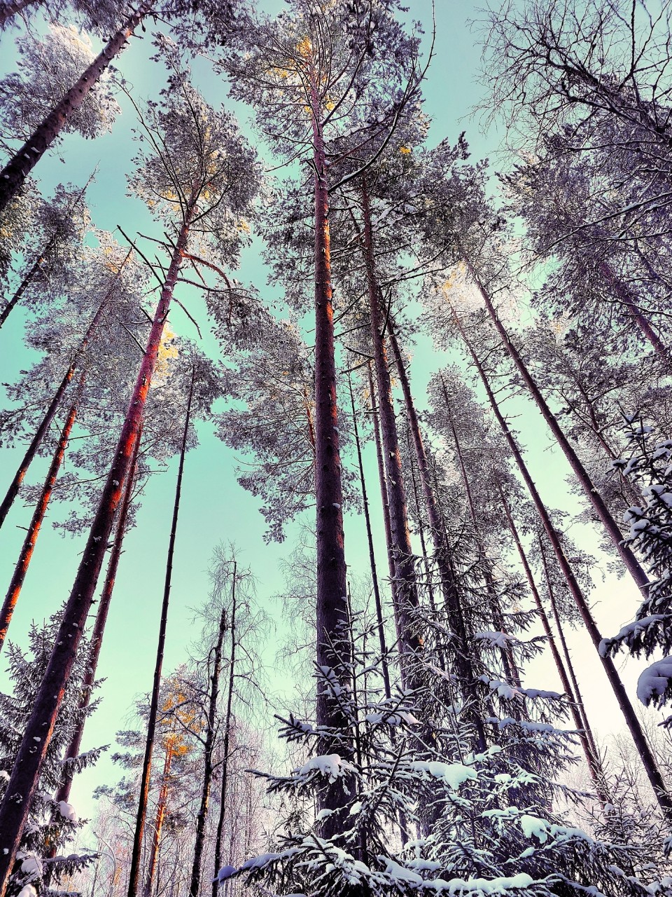 Виктор в LOOKY — фото 5