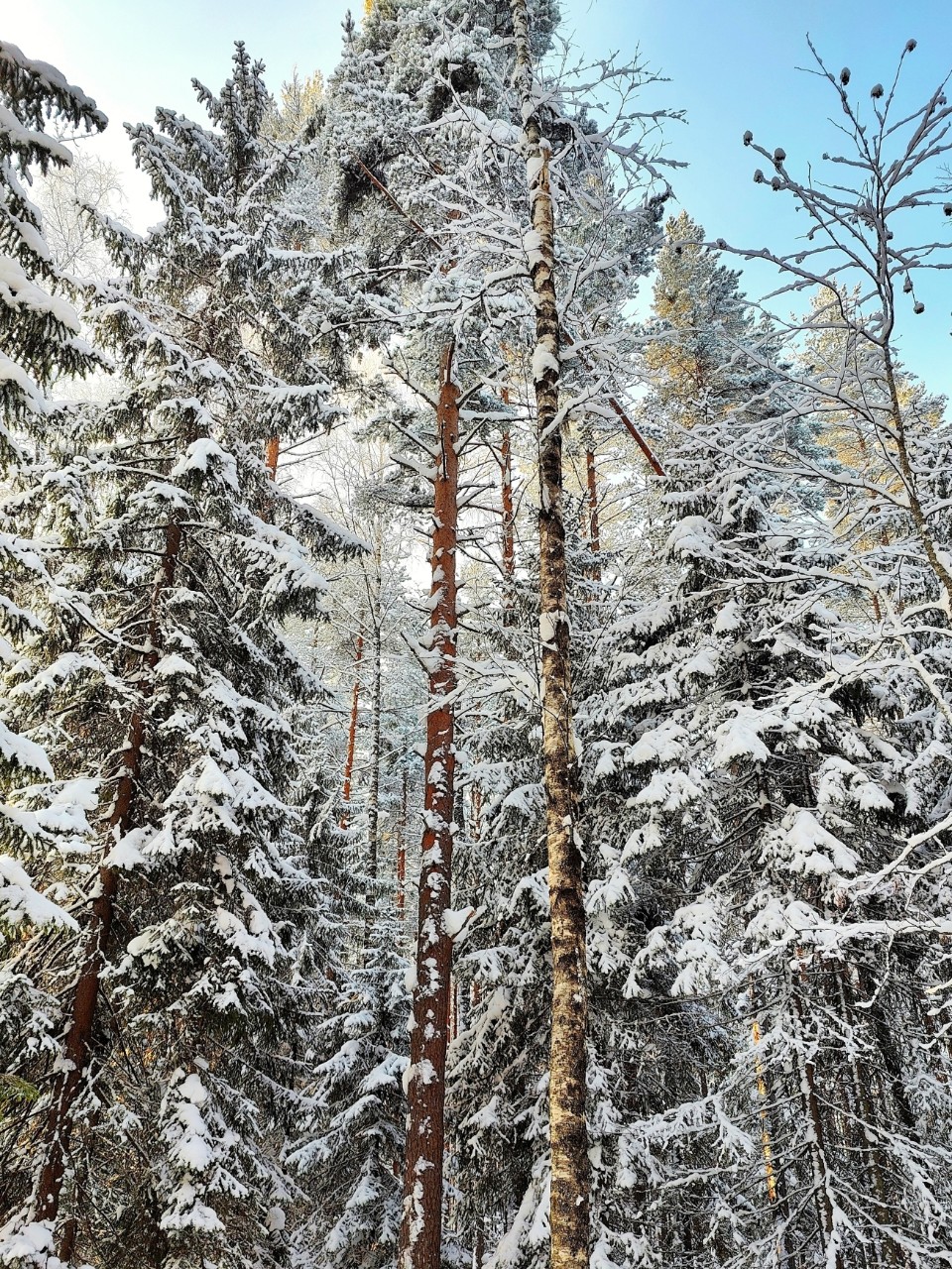 Виктор в LOOKY — фото 3