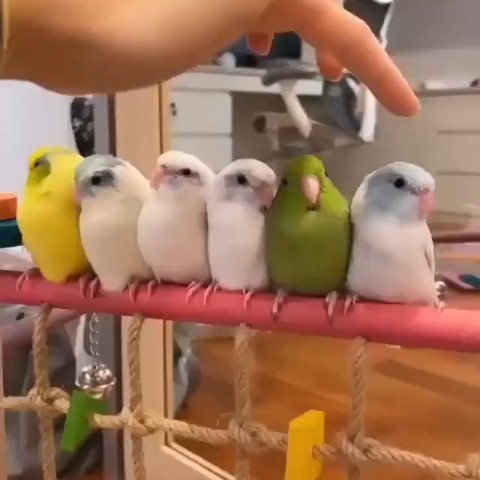 cool_firetvrus в LOOKY. . Релакс 😍🔥🔥🔥🔥