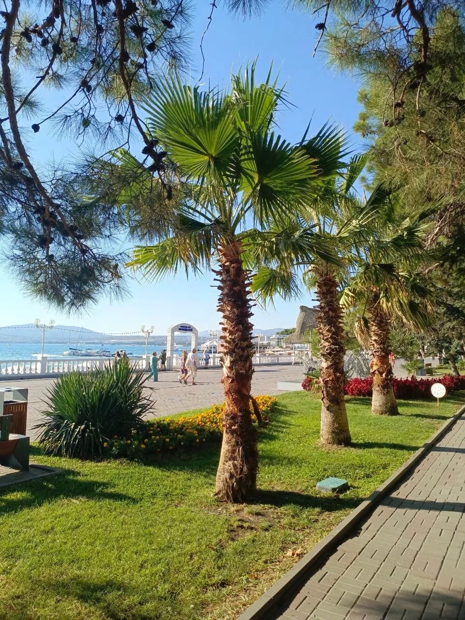 lovegelendzik в LOOKY — Доброе утро из Геленджика 🌞 🌴🌊⛵️

Бархатный сезон набирае