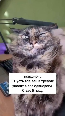 oksanapuzakova1403 в LOOKY. . 