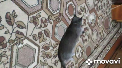 Looky_1710599590614 в LOOKY. . 🎁💝Подарки хорошо д...