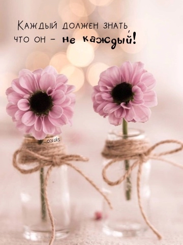 snowflake в LOOKY. . 