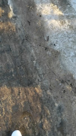 __olyy в LOOKY. . В нашей жизни мы чащ...