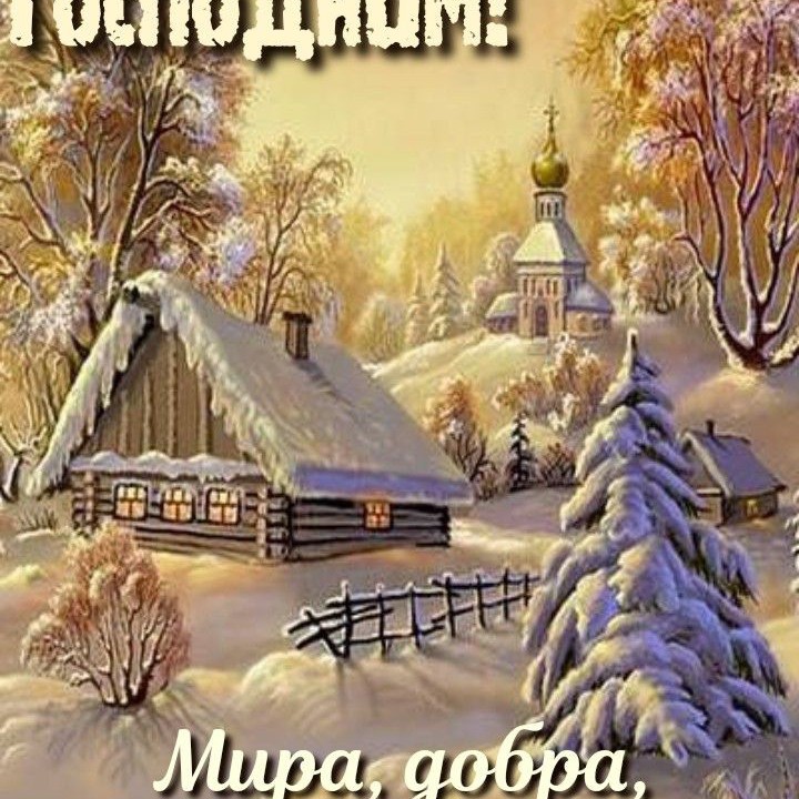 tropingold в LOOKY — фото 2