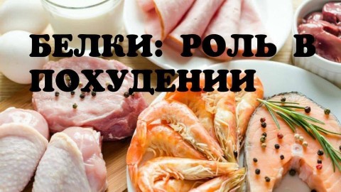 Natacow в LOOKY. . БЕЛКИ - их роль в по...