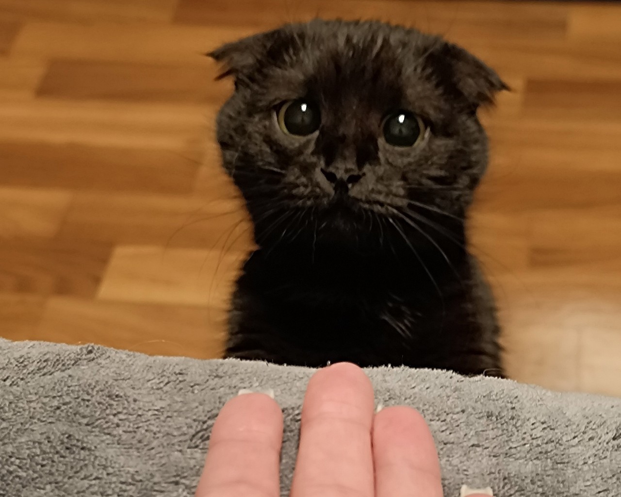 Юлия Ржевская в LOOKY — фото 3
