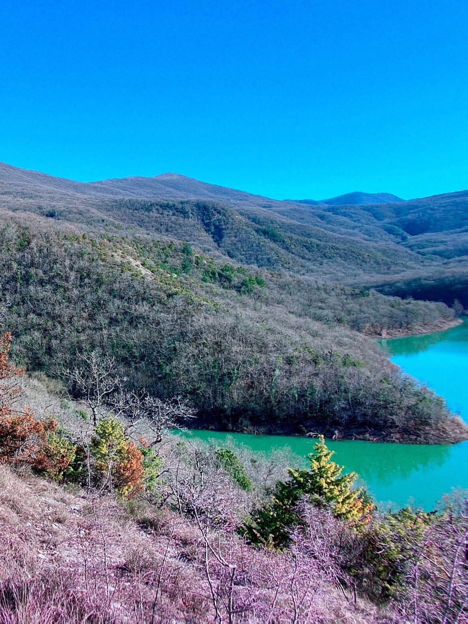 nina_melekhova в LOOKY — фото 5