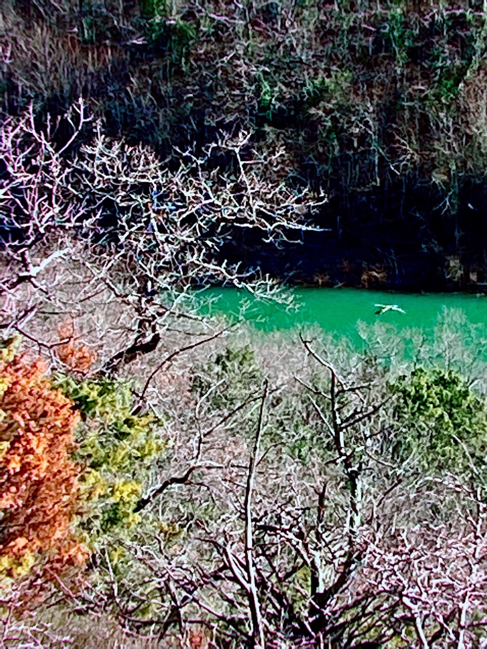 nina_melekhova в LOOKY — фото 6