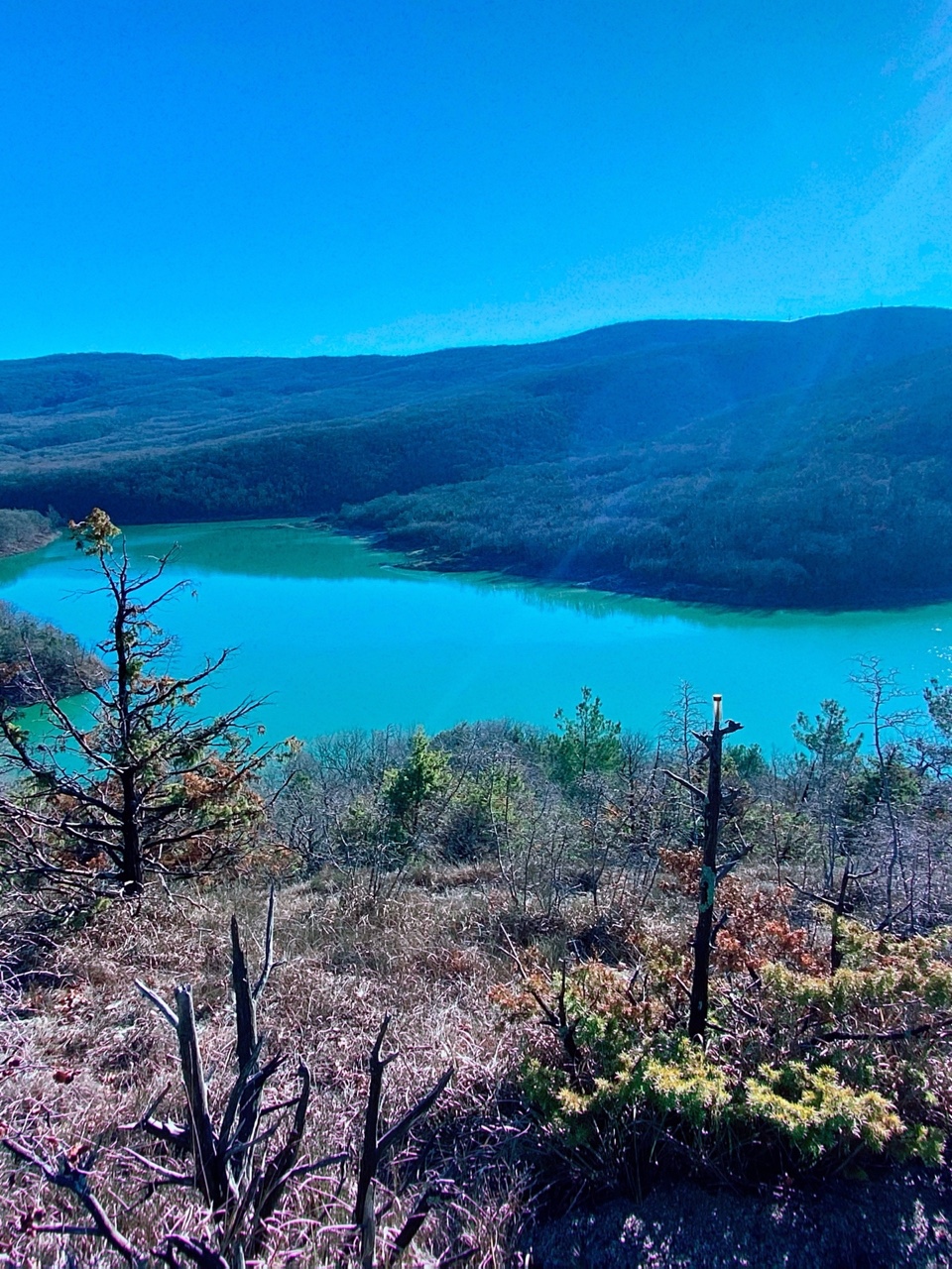 nina_melekhova в LOOKY — фото 2