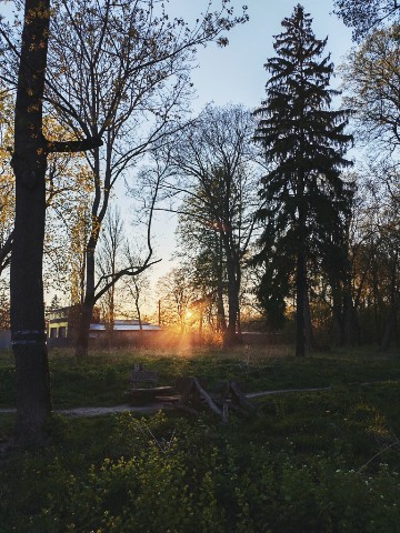 Татьяна Петрова в LOOKY. #фрида#паркпоэзии#мнекрасиво#. 🌞 #фрида#паркпоэзии...