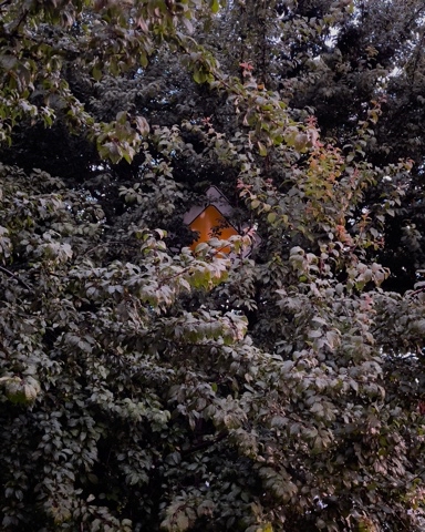 evex в LOOKY. . Someone’s hiding the...