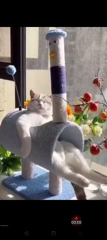 Дмитрий in LOOKY. . Балдею