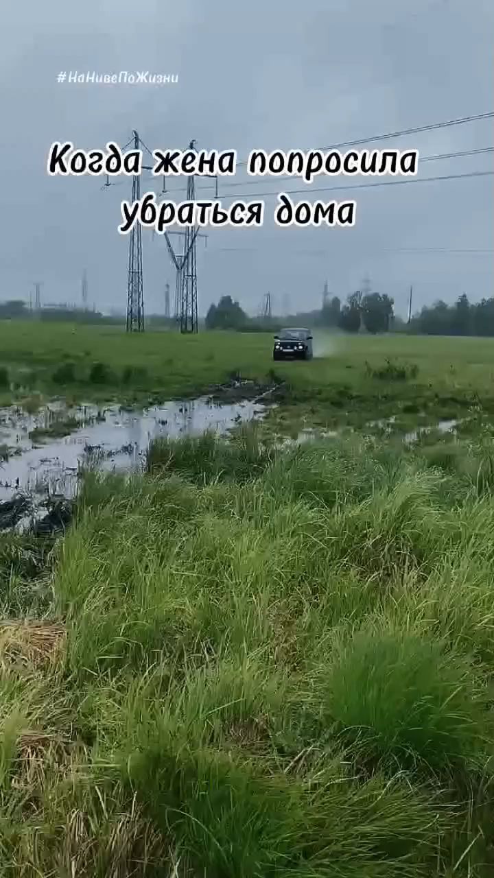 uhoff в LOOKY. . Когда жена попросила...