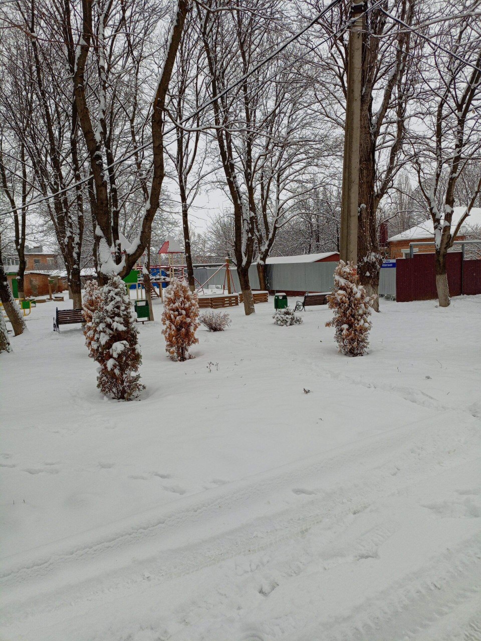 Олеся в LOOKY — публикация