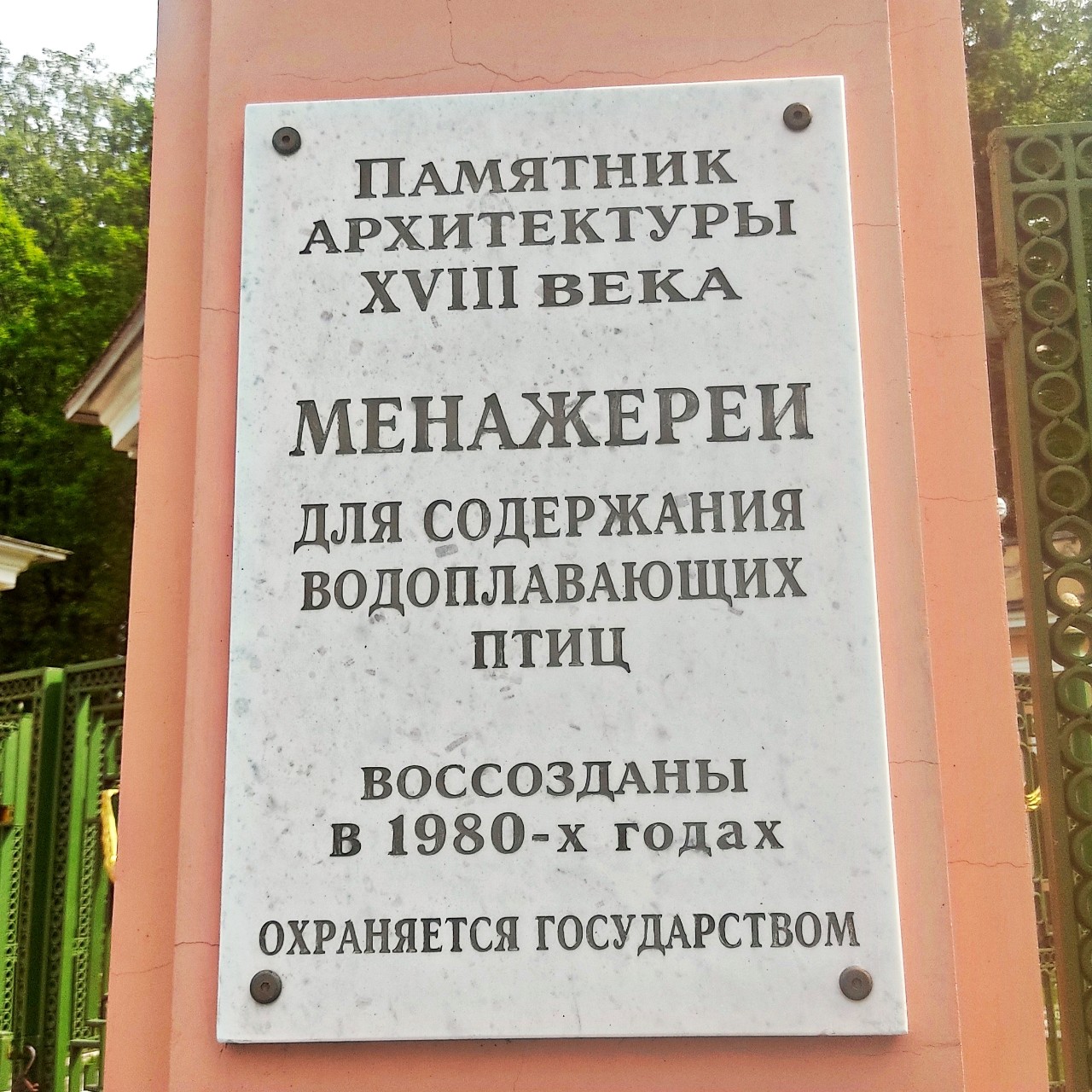Semelka в LOOKY — фото 4