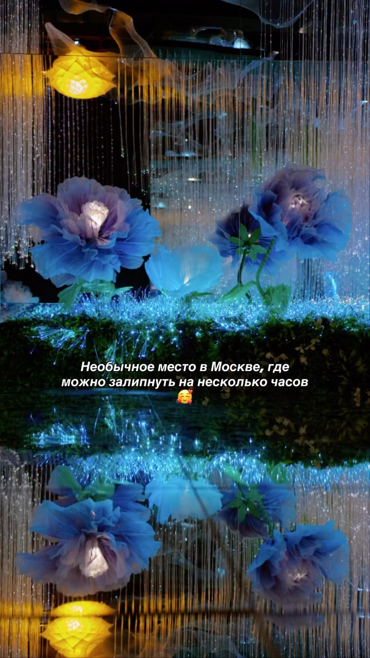tanya.malysh в LOOKY. . ✨Эйфория✨ - здесь ре...