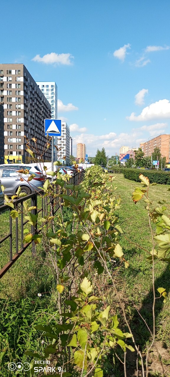 Olguita в LOOKY — публикация