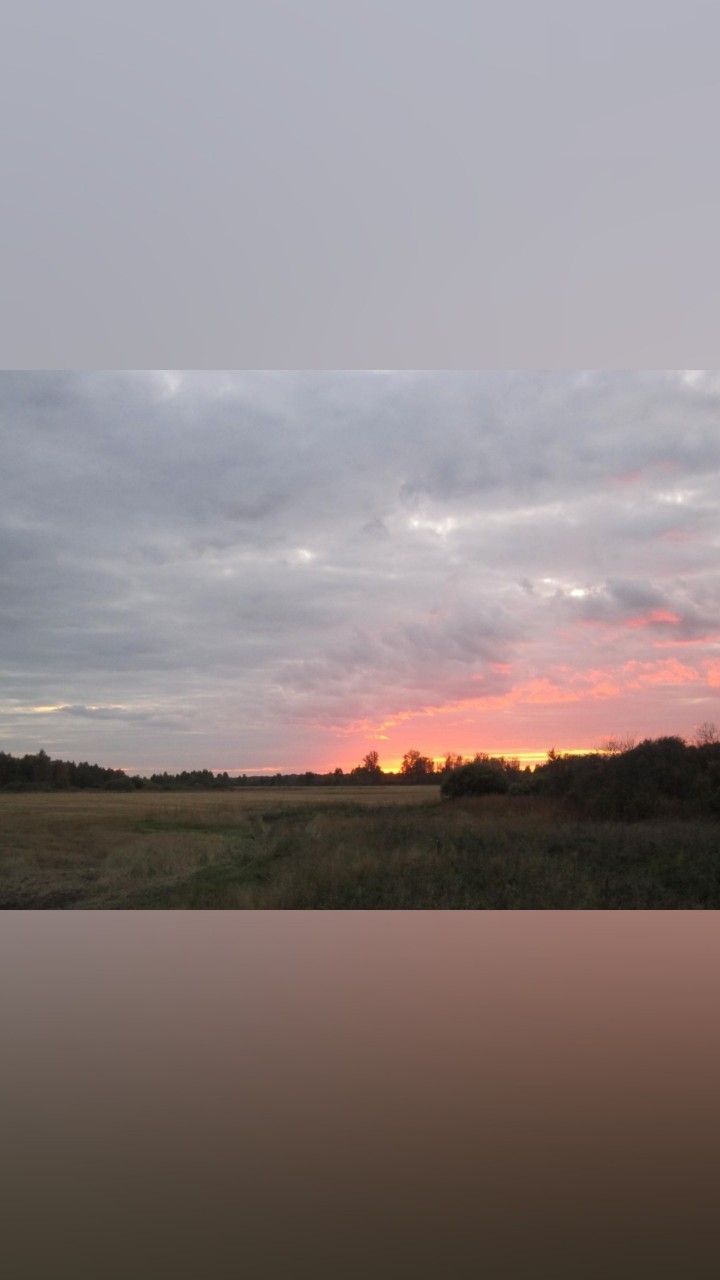 Aleksej_K в LOOKY. #цветы_немусор. #цветы_немусор