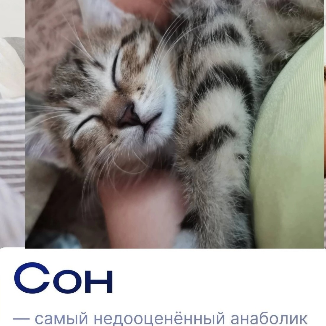 stroyneem_s_elenkoy в LOOKY в LOOKY — Сон - это ваш самый недооценённый анаболик.

Давайте честно?