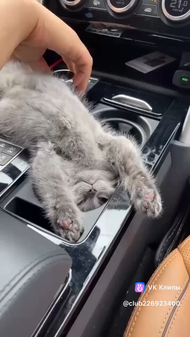 Macsen в LOOKY. . Мой день в  коротком...