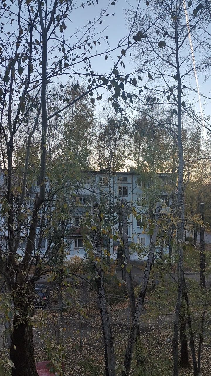 Смотри чё сделал в LOOKY. . 