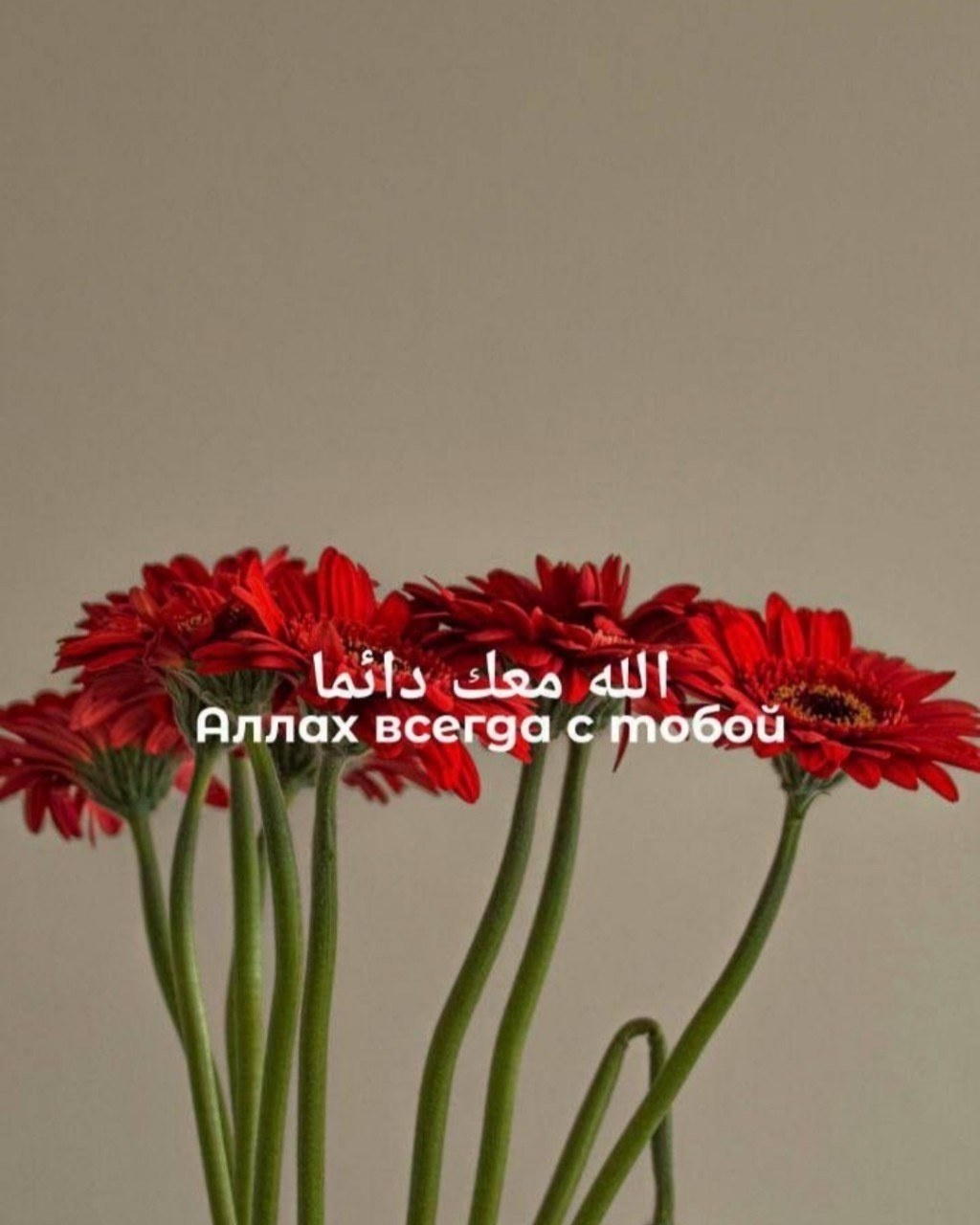 #Original #LOOKY_нейронка