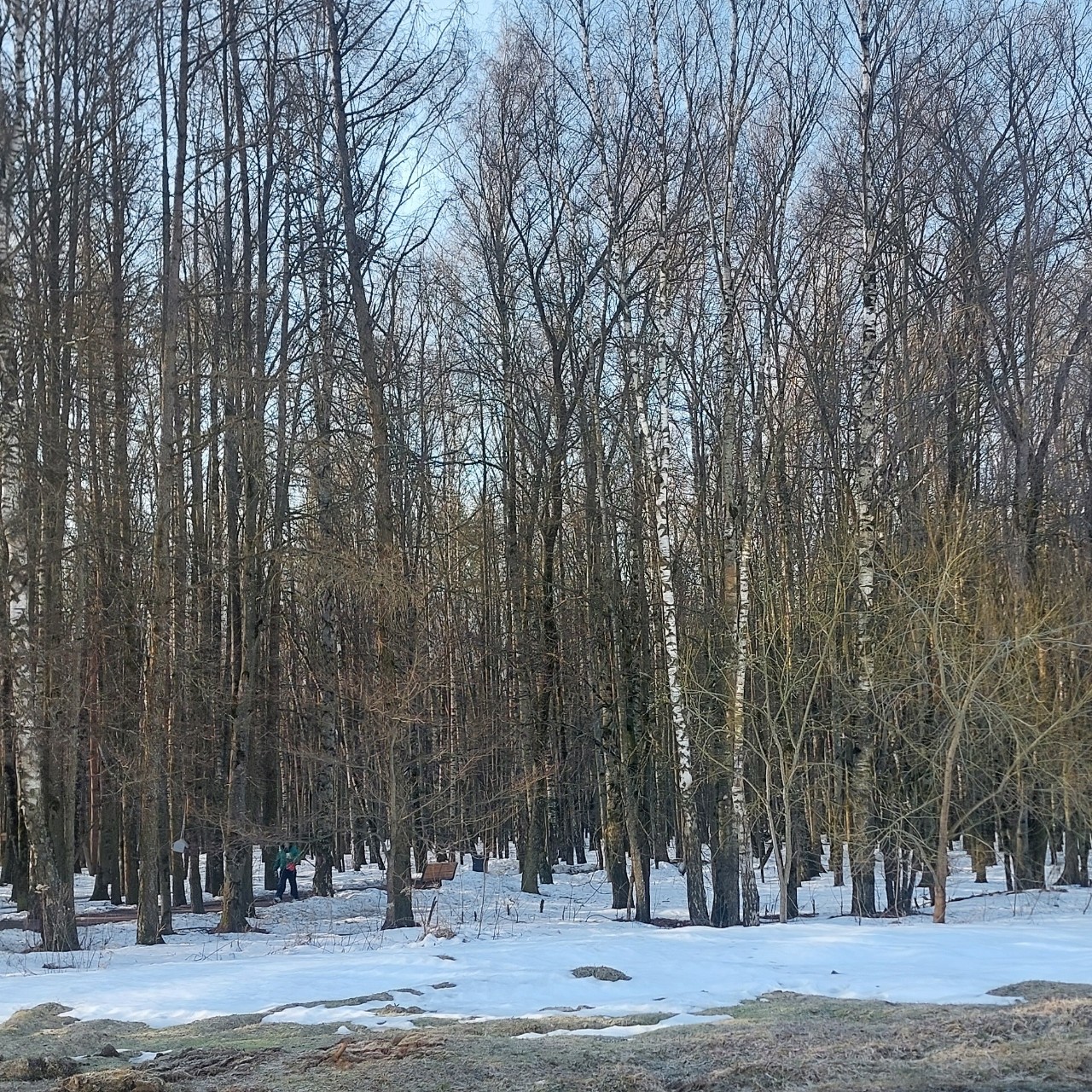 Галина Венн в LOOKY — фото 3