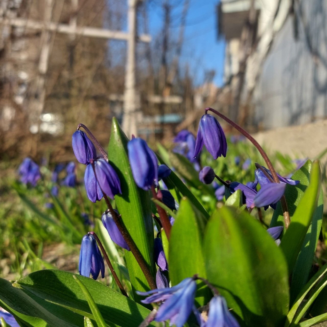 Галина Венн в LOOKY — фото 4