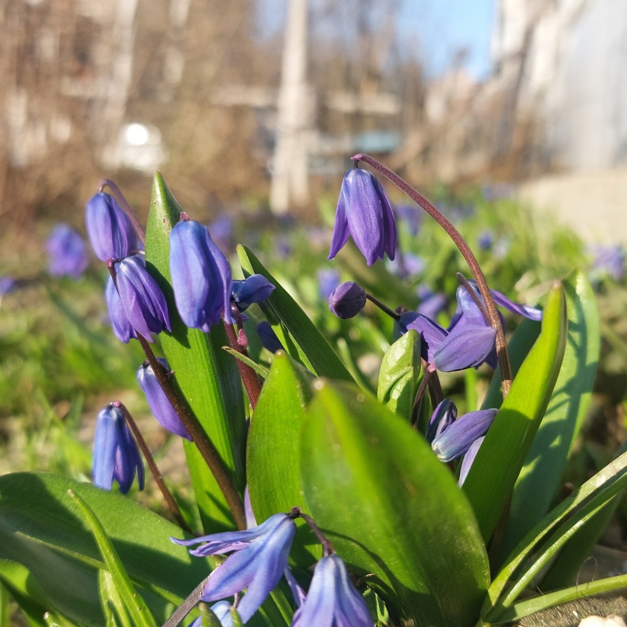 Галина Венн в LOOKY. . 33/100 [#100днейдоле...