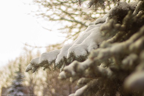 sandra.shayakhmetova в LOOKY. . [#ПРИРОДА](ПРИРОДА) 