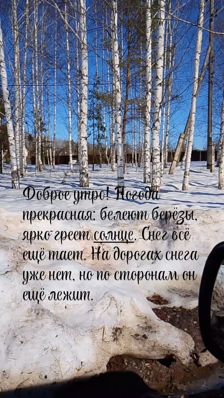Looky_177299444210695 в LOOKY. . 