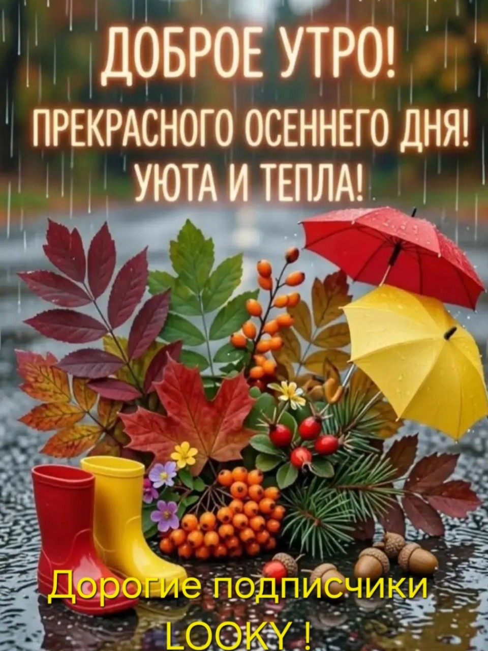 ДедМед в LOOKY — публикация
