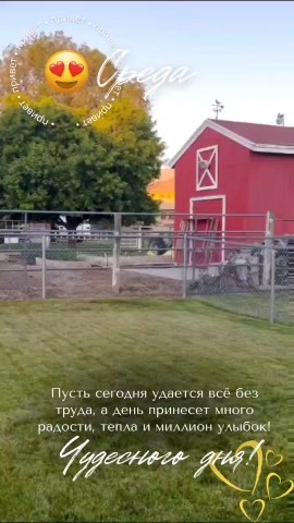 oks.nikiforova в LOOKY. . 