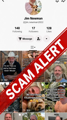 silascodes в LOOKY. #ScamAlert,#RomanceScam,#OnlineDatingScam,#FakeProfile. 🚨 SCAM AWARENESS AL...
