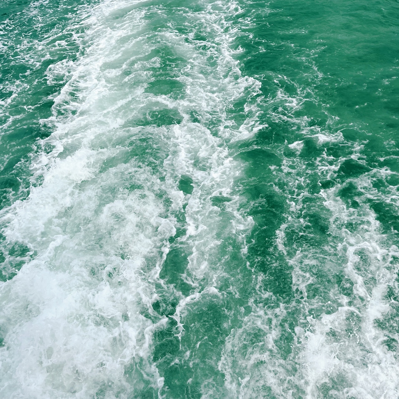 Looky_1670444268508 в LOOKY — Море Сиам 🇹🇭