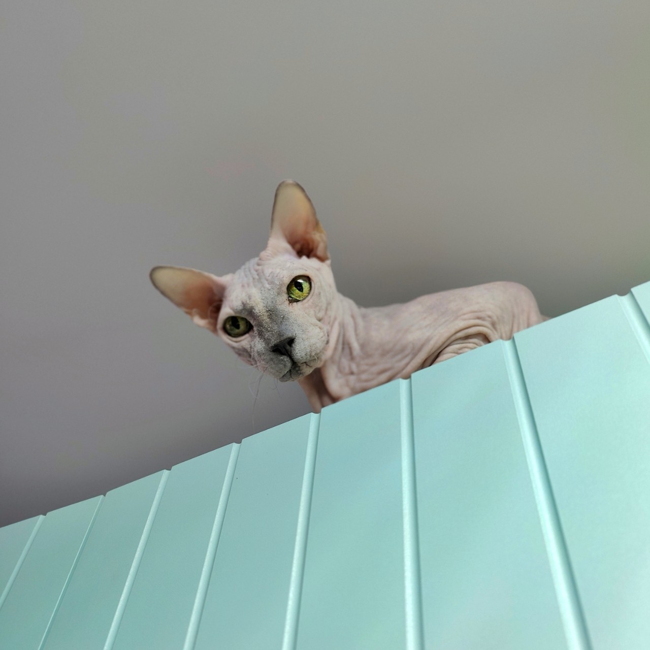 Виктор в LOOKY — фото 3