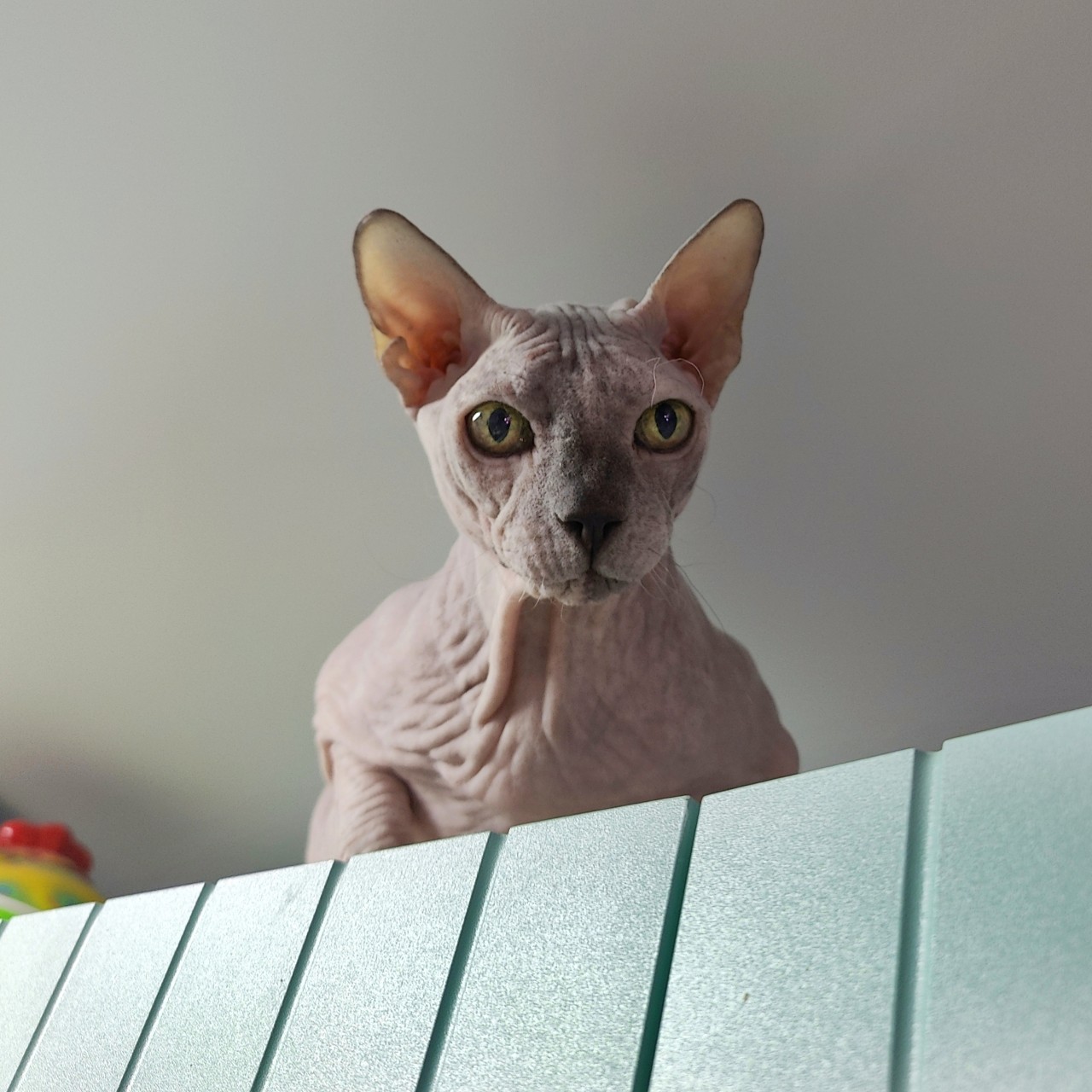 Виктор в LOOKY — фото 4